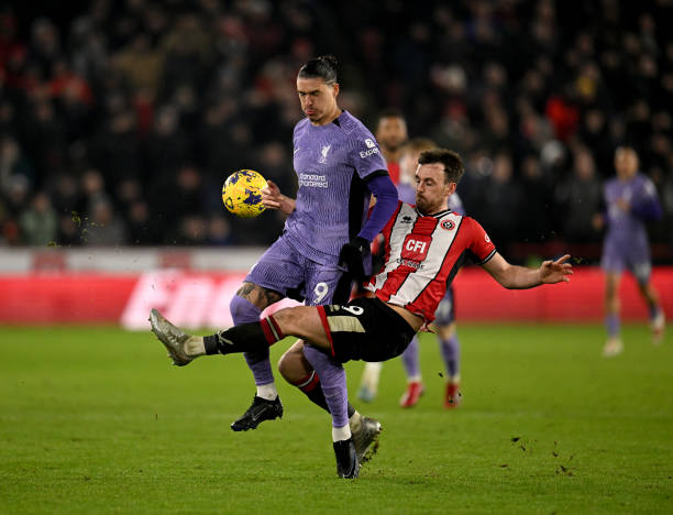 后场不可或 后场不可或